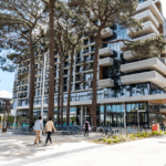 Sustainability tips for everyday impact