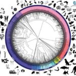 Bioblitz species diagram